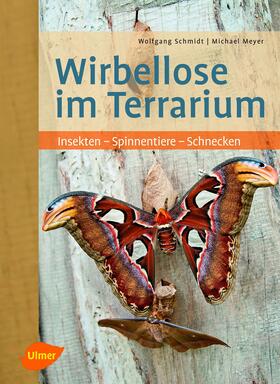 Schmidt / Meyer |  Wirbellose im Terrarium | Buch |  Sack Fachmedien