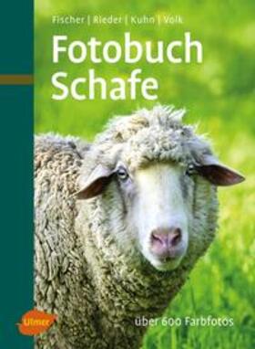 Fischer / Kuhn / Rieder |  Fotobuch Schafe | Buch |  Sack Fachmedien