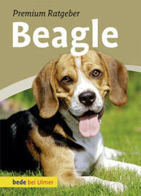 Schmitt |  Beagle | Buch |  Sack Fachmedien