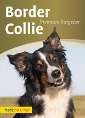 Schmitt |  Border Collie | Buch |  Sack Fachmedien