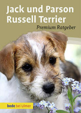 Schmitt |  Jack und Parson Russell Terrier | Buch |  Sack Fachmedien