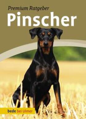 Schmitt |  Pinscher | Buch |  Sack Fachmedien