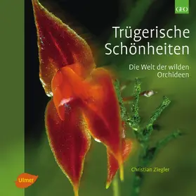 Ziegler |  Trügerische Schönheiten | Buch |  Sack Fachmedien