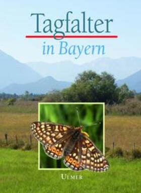 Bräu / Bolz / Kolbeck |  Tagfalter in Bayern | Buch |  Sack Fachmedien