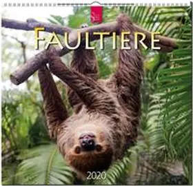 Faultiere 2020 | Sonstiges | 978-3-8003-6155-7 | sack.de