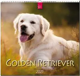 Verlagshaus Würzburg | Golden Retriever 2021 | Sonstiges | 978-3-8003-6367-4 | sack.de