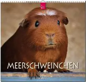 Verlagshaus Würzburg |  Meerschweinchen 2021 | Sonstiges |  Sack Fachmedien