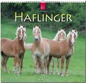 Haflinger 2021 | Sonstiges | 978-3-8003-6386-5 | sack.de