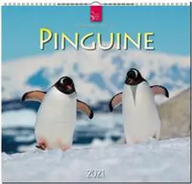  Pinguine 2021 | Sonstiges |  Sack Fachmedien