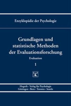 Holling |  Grundlagen und statistische Methoden der Evaluationsforschung | Buch |  Sack Fachmedien