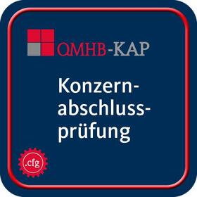  Qualitätsmanagementhandbuch - Modul Konzernabschlussprüfung | Datenbank |  Sack Fachmedien