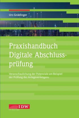 Urs |  Praxishandbuch Digitale Abschlussprüfung | Buch |  Sack Fachmedien