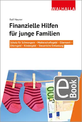 Hauner |  Finanzielle Hilfen für junge Familien | eBook | Sack Fachmedien