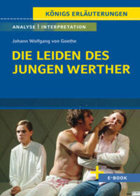 Goethe / Bernhardt |  Die Leiden des jungen Werther von Johann Wolfgang von Goethe - Textanalyse und Interpretation | Buch |  Sack Fachmedien