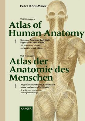 Köpf-Maier |  Wolf-Heideggers Atlas of Human Anatomy. (Classic edition - Latin nomenclature). Volume 1: | Buch |  Sack Fachmedien
