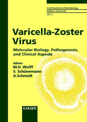 Schmidt / Wolff / Schünemann |  Varicella-Zoster Virus | Buch |  Sack Fachmedien