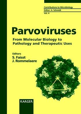 Faisst / Rommelaere |  Parvoviruses | Buch |  Sack Fachmedien