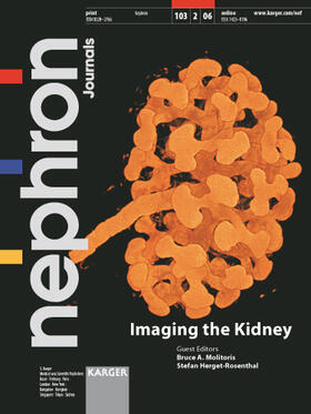 Molitoris / Herget-Rosenthal |  Imaging the Kidney | Buch |  Sack Fachmedien