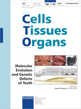 Simmer |  Molecular Evolution and Genetic Defects of Teeth | Buch |  Sack Fachmedien