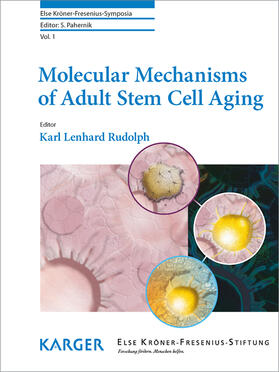 Rudolph |  Molecular Mechanisms of Adult Stem Cell Aging | eBook | Sack Fachmedien