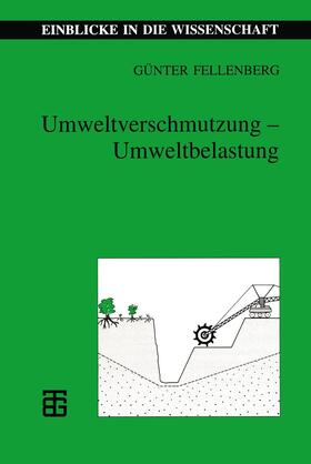 Fellenberg |  Umweltverschmutzung ¿ Umweltbelastung | Buch |  Sack Fachmedien