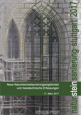 Patitz / Grassegger / Wölbert |  Natursteinsanierung Stuttgart 2017 | Buch |  Sack Fachmedien