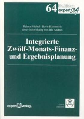 Hammerle / Michel |  Integrierte Zwölf-Monats-Finanz und Ergebnisplanung | Buch |  Sack Fachmedien