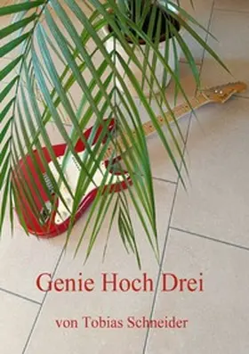 Schneider |  Genie Hoch Drei | Buch |  Sack Fachmedien