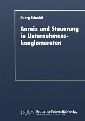 Schmidt |  Anreiz und Steuerung in Unternehmenskonglomeraten | Buch |  Sack Fachmedien