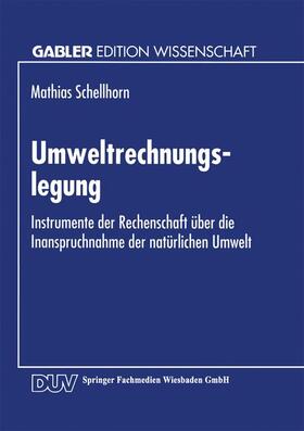  Umweltrechnungslegung | Buch |  Sack Fachmedien