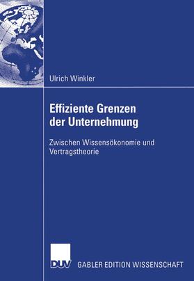 Winkler |  Effiziente Grenzen der Unternehmung | Buch |  Sack Fachmedien