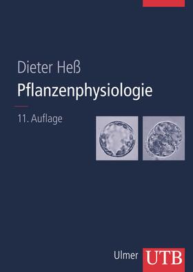 Heß |  Pflanzenphysiologie | Buch |  Sack Fachmedien
