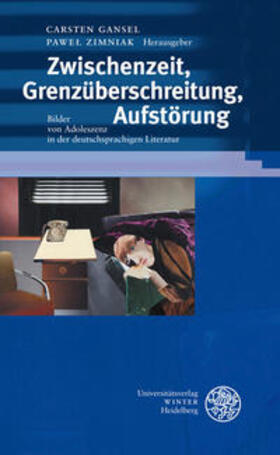 Gansel / Zimniak |  Zwischenzeit, Grenzüberschreitung, Aufstörung | Buch |  Sack Fachmedien