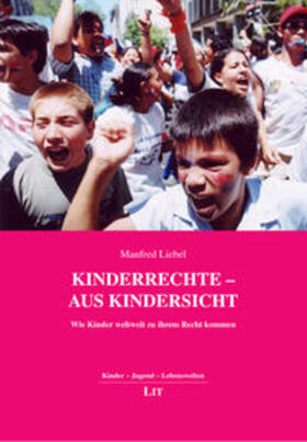 Liebel |  Kinderrechte - aus Kindersicht | Buch |  Sack Fachmedien