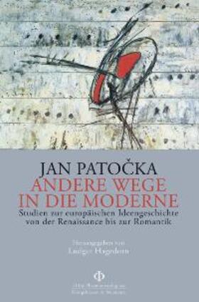 Patocka / Hagedorn |  Andere Wege in die Moderne | Buch |  Sack Fachmedien