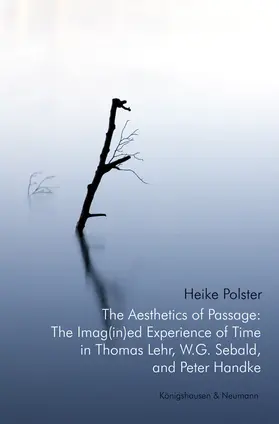 Polster |  The Aesthetics of Passage: The Imag(in)ed Experience of Time in Thomas Lehr, W.G. Sebald and Peter Handke | Buch |  Sack Fachmedien