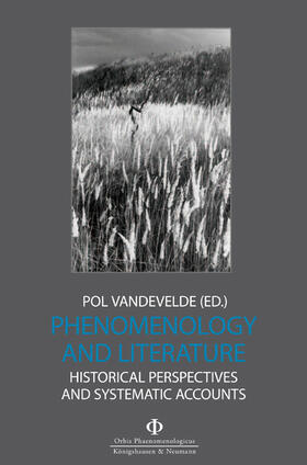 Vandevelde |  Phenomenology and Literature | Buch |  Sack Fachmedien