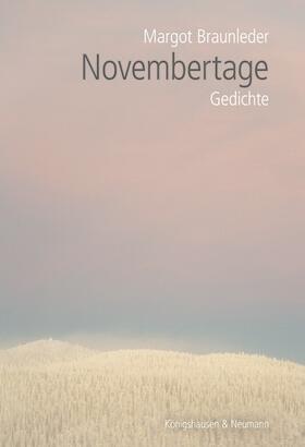 Braunleder |  Novembertage | Buch |  Sack Fachmedien