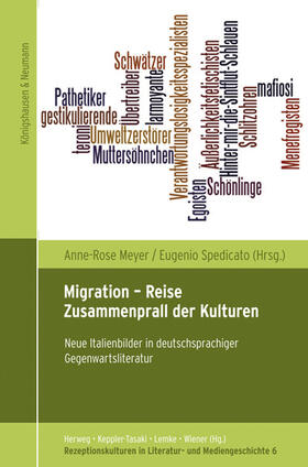 Meyer / Spedicato |  Migration - Reise -  Zusammenprall der Kulturen | Buch |  Sack Fachmedien