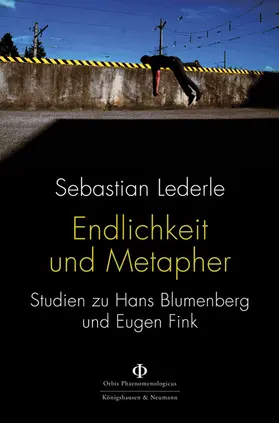 Lederle |  Endlichkeit und Metapher | Buch |  Sack Fachmedien