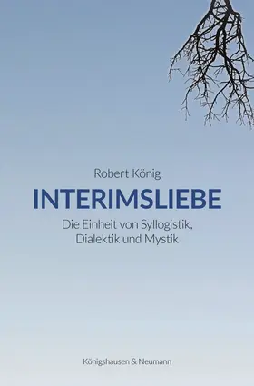 König |  Interimsliebe | Buch |  Sack Fachmedien