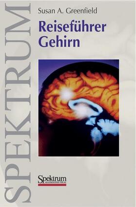 Greenfield |  Reiseführer Gehirn | Buch |  Sack Fachmedien