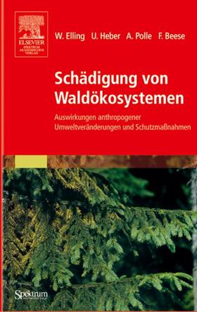 Elling / Heber / Polle |  Schädigung von Waldökosystemen | Buch |  Sack Fachmedien