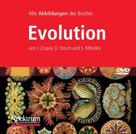 Zravý / Storch / Mihulka |  Bild-DVD, Evolution | Sonstiges |  Sack Fachmedien
