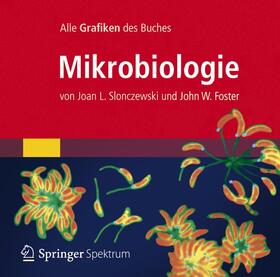 Slonczewski / Foster |  Bild-DVD, Mikrobiologie | Sonstiges |  Sack Fachmedien