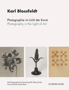 Blossfeldt |  Photographie im Licht der Kunst / Photography in the Light of Art | Buch |  Sack Fachmedien