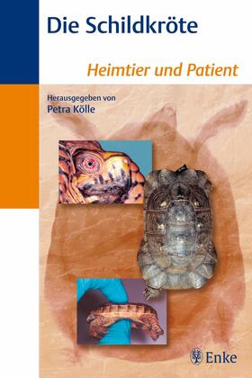 Kölle |  Die Schildkröte | eBook | Sack Fachmedien