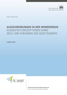 Hohlstein |  Ausschreibungen in der Windenergie | eBook | Sack Fachmedien