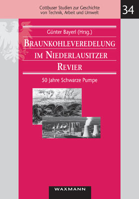 Bayerl |  Braunkohleveredelung im Niederlausitzer Revier | Buch |  Sack Fachmedien