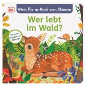 Grimm |  Mein Pop-up-Buch zum Staunen. Wer lebt im Wald? | Buch |  Sack Fachmedien